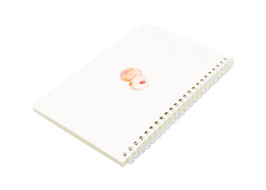 Art diy Spiral Bound Book custom spiral binding book printing